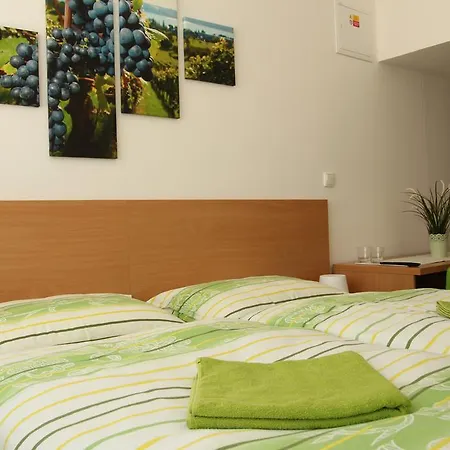 Penzion Bobule Stare Mesto  Room photo